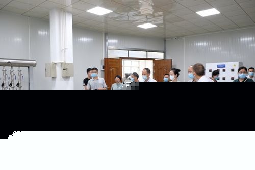 信息技術咨詢服務 驅動企業(yè)數字化轉型的智慧引擎